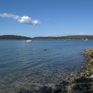Walking along the shore at low tide