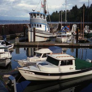 Media 'Our boat in sunshine -' in album 'Our boat in sunshine -'