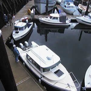 JoeW Bambina and Seashift