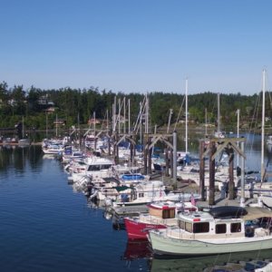 Media 'FriHar013' in album 'Friday Harbor H dock'