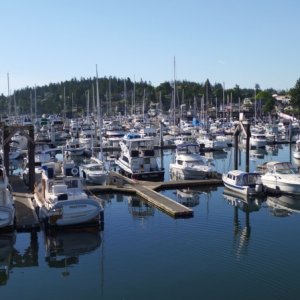 Media 'FriHar015' in album 'Friday Harbor H dock'