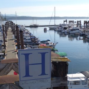 Media 'FriHar016' in album 'Friday Harbor H dock'