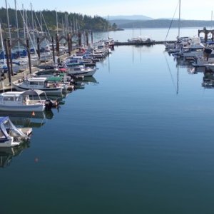 Media 'FriHar027' in album 'Friday Harbor H dock'