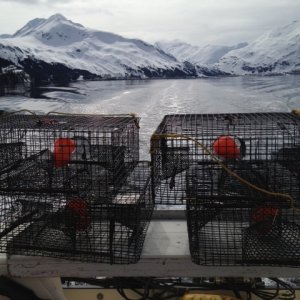 Media 'Pots Ready' in album 'CD 22
Winter Home in Girdwood'