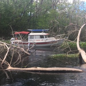 Ms Jill in the Oklawaha River