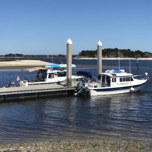 Mystery Girl and C Traveler on the Free Dock