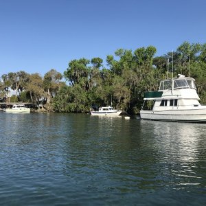 Mystery Girl, C Traveler, Millenium anchored just outside the Silver Glen Springs circle