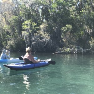 Media 'Bill and Rosanne checking out an alligator and turtle' in album 'Hub is all that was left.  It was held on by it\'s hardware, but the prop was gone!'
