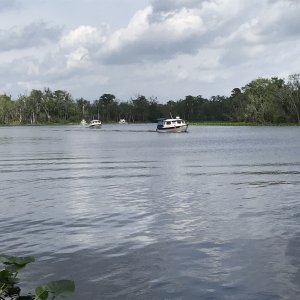 St Johns River C Dorys