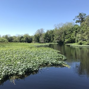 Snake Creek Cutoff