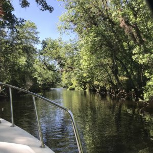 Logging Canal Bordello or Birdhouse Canal
