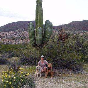 Catavina Mexico - Anne & the boyz in the desert