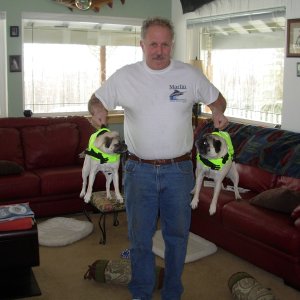 Media 'Pugs in life jackets' in album 'Almost ready for delivery'