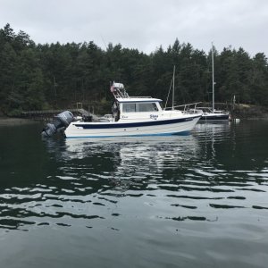 Media 'Prevost Harbor, Stuart Island' in album 'Prevost Harbor, Stuart Island'