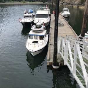 Media 'Reid Harbor, Stuart Island' in album 'Prevost Harbor, Stuart Island'
