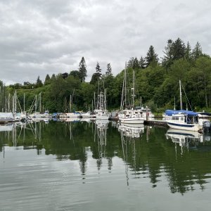 Elochoman Slough Marina in Cathlamet