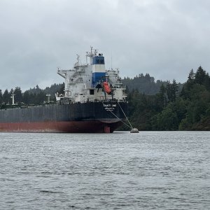 One of several ships anchored between Cathlamet and Kalama