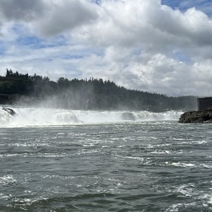 Up close to the Willamette Falls