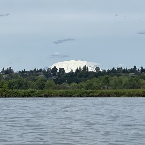 Mt St Helens