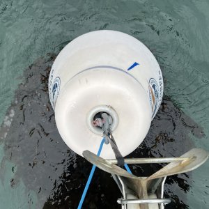 Eagle Harbor, Cypress Island, Mooring Ball hookup