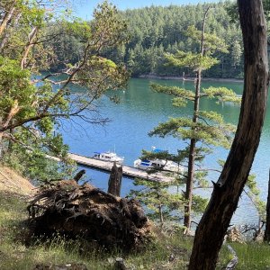 Looking at C-Traveler through the trees from the hiking path on Stuart Island