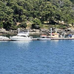Fossil Bay dock