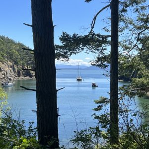 Matia Cove at Matia Island