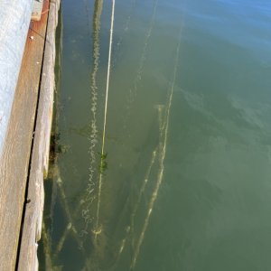 Sunken Sail Boat