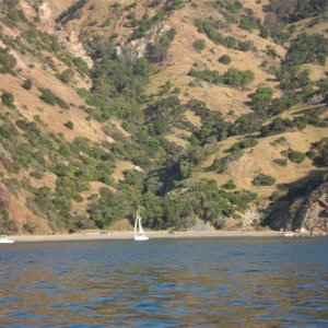 Media 'Italian Gardens' in album 'The Isthmas at Catalina Island.'