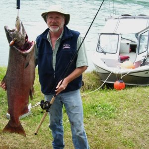 Media '50# Kenai King Salmon' in album 'Joel's Sheepshead'