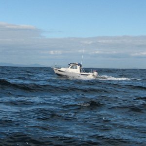C-Voyager Straight of Juan De Fuca complements of Kevin & Tammy of the DogHouse