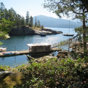 Mink Island view