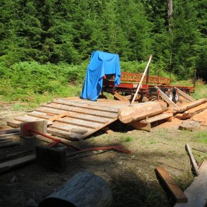 Mink Island sawmill