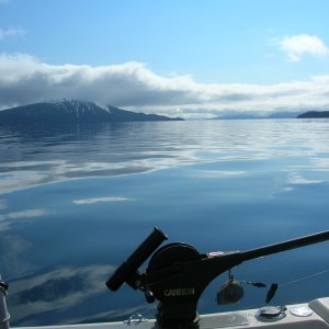 Media '' in album 'Booty Bay'