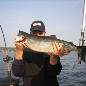 Aug 3, 2006 sockeye - one of a double hookup