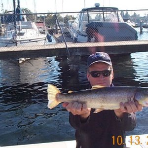Chunky cutthroat with shoulders