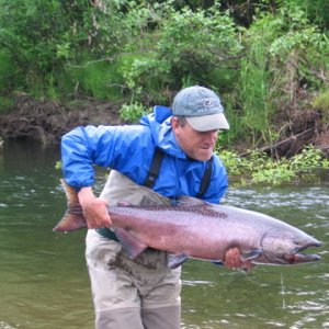 fly caught King salmon near Yentna drainage AK - Circa 2005