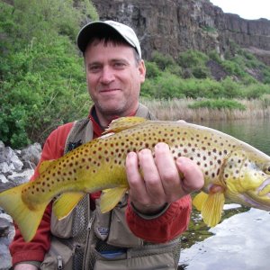 Dry Falls Brown - Jim Beam