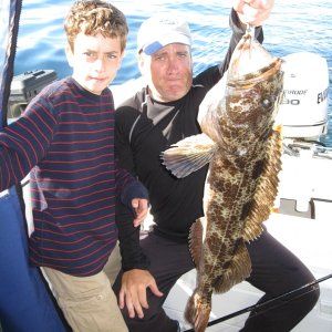 the Ling of Turn Pt - fish released... caught on a hoochie