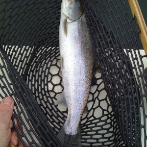 Lake Samm 2