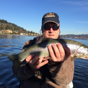 Trout