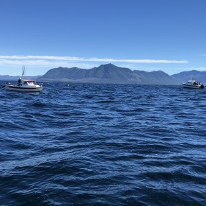 Red Snapper (16) and Salish Sea, Checkpoint II offshore