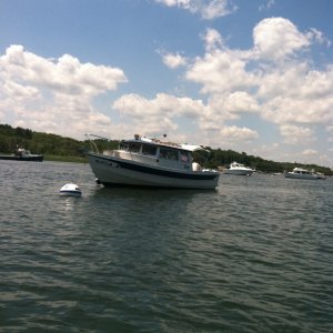 IMG 0489