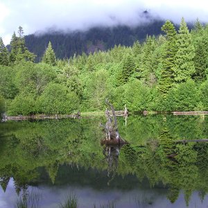 Media 'West Larson Lake' in album 'West Larson Lake'