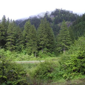 Media 'Middle Larson Lake - Augspurger Mountain in the background' in album 'West Larson Lake'