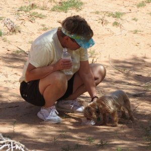 Media 'Hot hiking in the desert' in album 'Bob, Angel, Marie, Dixie, Rusty'