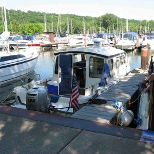 6 settled in treman marina