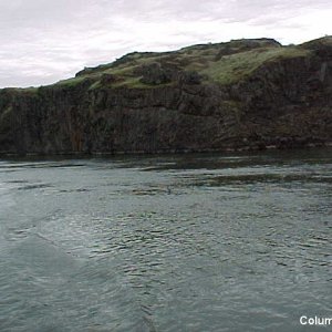 45 Columbia River