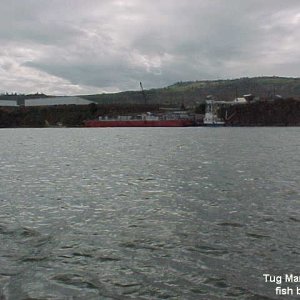 Media '50 Tug Mary B with fish barge' in album '1 Snake above Granite Dam'