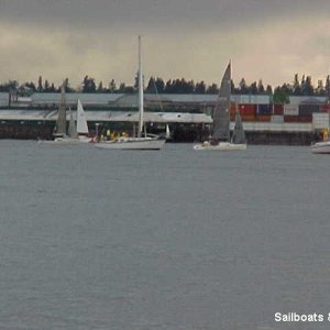 61 Sailboats & barge